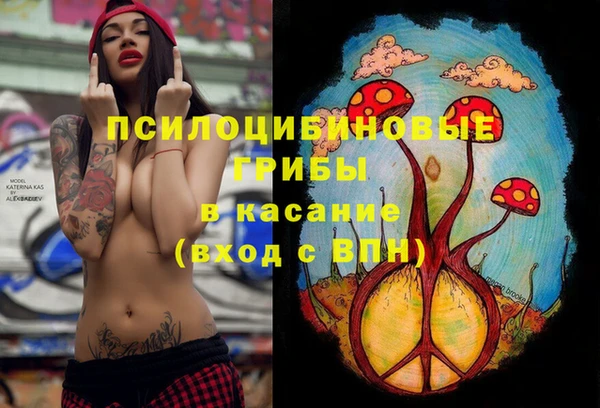 spice Карпинск
