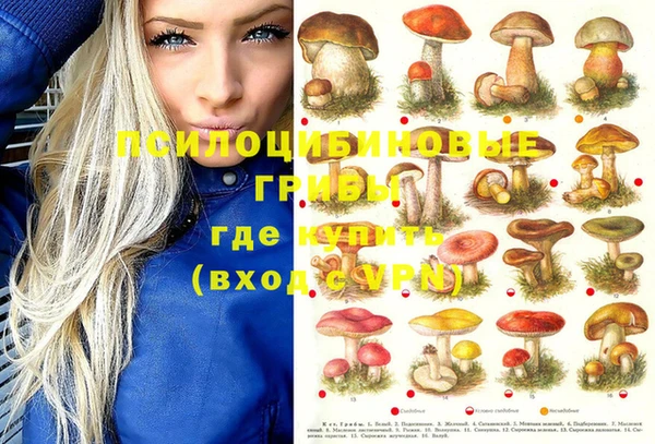 MESCALINE Карталы