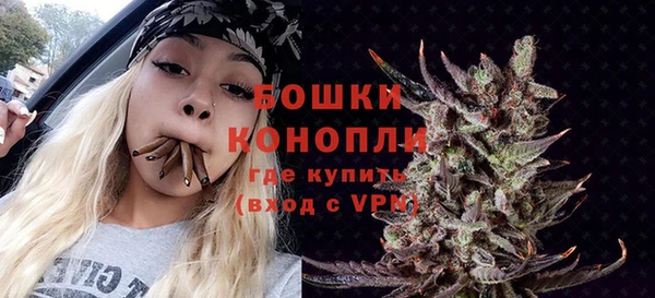 spice Карпинск