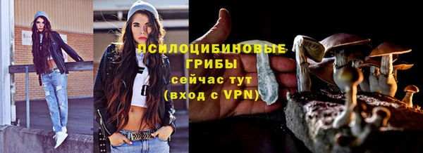 spice Карпинск