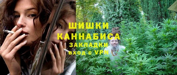 spice Карпинск